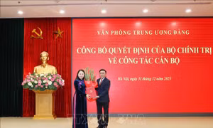 Đồng chí Nguyễn Thị Thu Hà giữ chức Phó Chánh Văn phòng Thường trực Văn phòng Trung ương Đảng