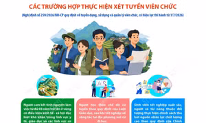 Các trường hợp được xét tuyển, ưu tiên và tiếp nhận vào viên chức