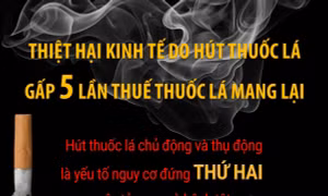 Thiệt hại kinh tế do hút thuốc lá gấp 5 lần thuế thuốc lá mang lại