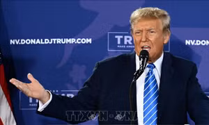 Chiến dịch tái tranh cử của ông D. Trump 'chi nhiều hơn thu'