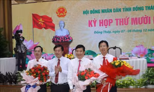 Bầu Chủ tịch và Phó Chủ tịch UBND tỉnh Đồng Tháp 
