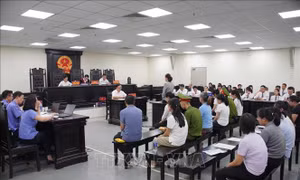19 bị cáo hầu tòa trong vụ sản xuất sản phẩm bảo vệ sức khỏe giả tại Công ty Herbitech