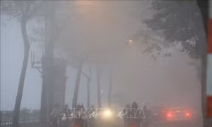 Hà Nội: Triển khai đồng bộ nhiều giải pháp cải thiện chất lượng không khí