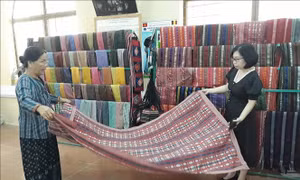 Ninh Thuận đẩy mạnh phát triển du lịch cộng đồng