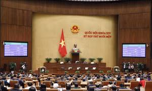Công bố Luật Phòng, chống ma túy đã được Quốc hội thông qua tại Kỳ họp thứ 11