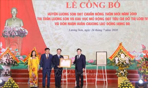 Lễ công bố huyện Lương Sơn (Hòa Bình) đạt chuẩn nông thôn mới 