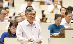Phòng, chống hàng giả cần nâng lên tầm chiến lược quốc gia