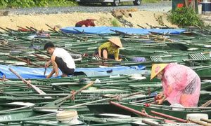 Bắc Ninh hoãn tổ chức chuỗi sự kiện quan trọng, tập trung chống bão