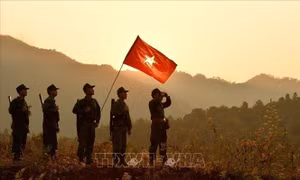 Cuộc thi trực tuyến 'Tìm hiểu Luật Biên phòng Việt Nam'