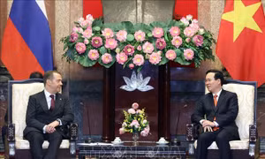 Chủ tịch nước tiếp Chủ tịch Đảng 'Nước Nga Thống nhất' Dmitry Medvedev