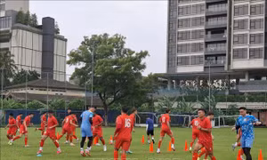 ASEAN Cup 2026: Tuyển Việt Nam sẵn sàng cho thử thách tại Malaysia