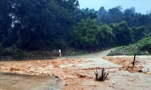 Khẩn trương ứng phó, giảm thiểu thiệt hại do mưa to ở Nghệ An
