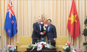 TP Hồ Chí Minh kỳ vọng tiềm năng hợp tác trên nhiều lĩnh vực với New Zealand