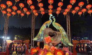 Rộn ràng lễ hội đèn lồng Tết Nguyên tiêu tại Hong Kong