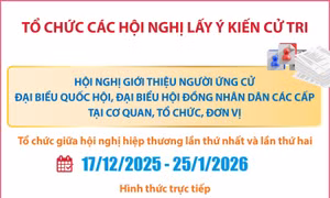 Tổ chức các hội nghị lấy ý kiến cử tri