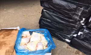 Tiêu hủy 270 kg thịt gà đông lạnh không rõ nguồn gốc
