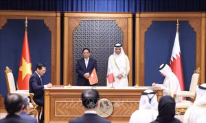 Sớm nâng cấp quan hệ Việt Nam - Qatar lên tầm cao mới