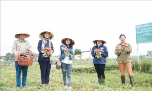 Du lịch xứ Nghệ khắc phục khoảng trống mùa vụ