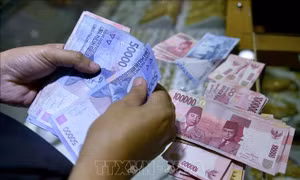 Lý do đằng sau sự suy yếu của các đồng tiền châu Á so với USD