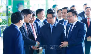 Thủ tướng dự Hội nghị triển khai nhiệm vụ năm 2025 của ngành Dầu khí