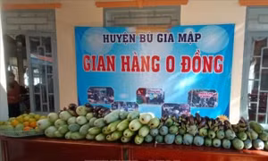 Hỗ trợ người dân gặp khó khăn do ảnh hưởng dịch COVID-19