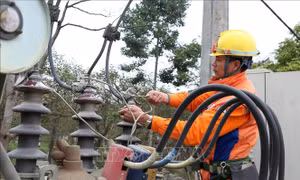 Đã cấp điện trở lại cho tất cả khách hàng bị ảnh hưởng bởi mưa lũ ở Lào Cai