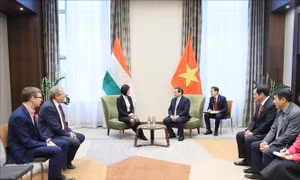 Thủ tướng Phạm Minh Chính tiếp lãnh đạo Hội Hữu nghị và lãnh đạo các đảng của Hungary