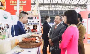 Việt Nam tham gia Triển lãm Thực phẩm quốc tế Thượng Hải 2023