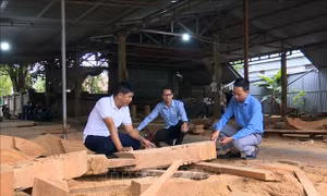 Gương Nông dân Việt Nam xuất sắc: Nâng tầm nghề mộc truyền thống