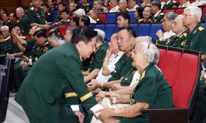 Chế độ an điều dưỡng, chăm sóc ốm đau cho sĩ quan quân đội nghỉ hưu
