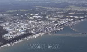 Nhật Bản, Trung Quốc nhất trí tham vấn về việc xả nước thải từ nhà máy Fukushima 
