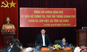 Lai Châu cần phấn đấu nâng tỷ lệ che phủ rừng trên 60%