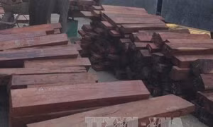 Phát hiện hơn 27m3 gỗ quý hiếm giấu trong các kiện phế liệu chuyển từ Lào về
