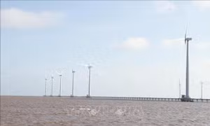 Nhiều triển vọng cho điện gió ngoài khơi