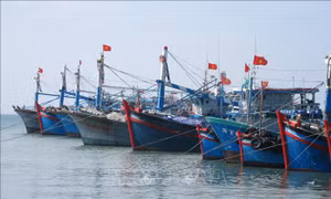Ninh Thuận với giải pháp giúp ngư dân khai thác thủy sản hợp pháp