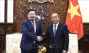 Chủ nhiệm Văn phòng Chủ tịch nước tiếp Chánh Văn phòng Tổng thống Mông Cổ
