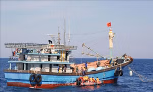Vì mục tiêu gỡ "thẻ vàng" IUU - Bài 4: Chuẩn bị điều kiện tốt nhất cho đợt thanh tra lần thứ 4
