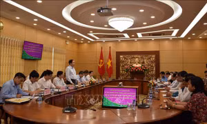 Kiểm tra công tác tổ chức Đại hội Mặt trận Tổ quốc các cấp tại Đồng Tháp