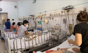 Chú trọng hướng dẫn người dân nhận biết triệu chứng và điều trị sốt xuất huyết tại nhà