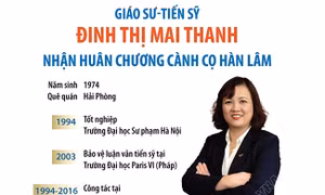 Giáo sư-Tiến sỹ Đinh Thị Mai Thanh nhận Huân chương Cành cọ Hàn lâm