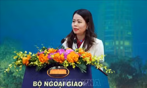 Việt Nam sẽ tham gia tích cực và đóng góp trách nhiệm tại Hội nghị BRICS mở rộng