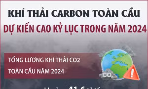 Dự kiến khí thải carbon toàn cầu cao kỷ lục trong năm 2024