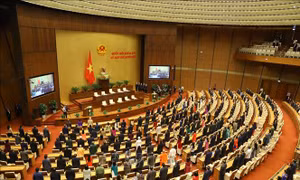 Thông cáo báo chí số 12, Kỳ họp thứ 11, Quốc hội khóa XIV