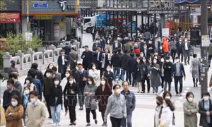 Hàn Quốc có mức chênh lệch tiền lương theo giới cao nhất trong 33 nước OECD được khảo sát