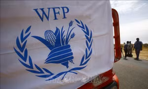 WFP mở rộng dự án phát triển hệ thống lương thực ở Cuba