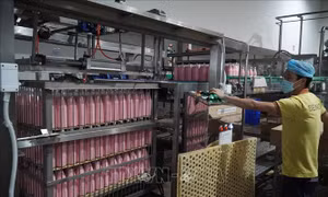 Đề xuất bãi bỏ quy định không phù hợp về đầu tư, kinh doanh
