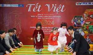 Lễ hội giao lưu Tết Việt tại Hiroshima (Nhật Bản)