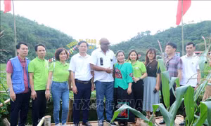 Tổ chức FAO hỗ trợ Bắc Kạn phát triển nông, lâm nghiệp