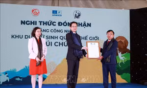 Đón Bằng công nhận Khu dự trữ sinh quyển thế giới Núi Chúa 