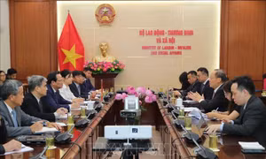 Việt Nam - Singapore tăng cường hợp tác nâng cao năng lực số cho lực lượng lao động